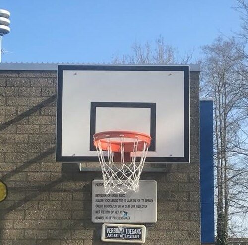 Basketbalbord voor buiten met muurframe